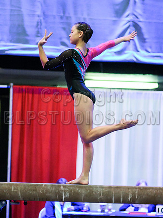 HSM_1275