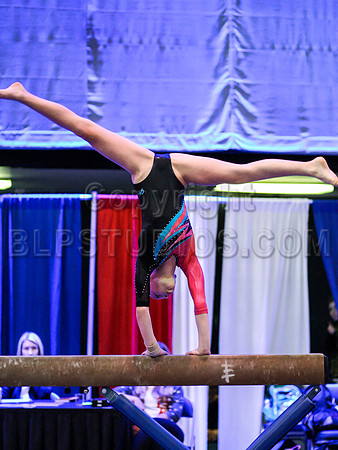 HSM_1466