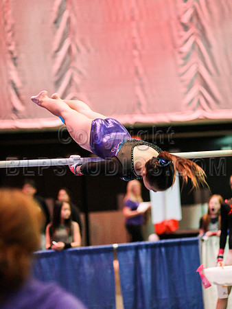 HSM_1177
