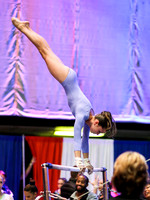 HSM_1475