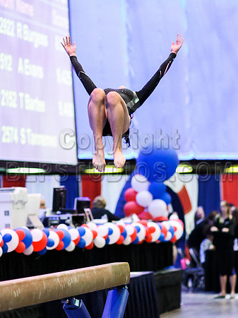 HSM_1038