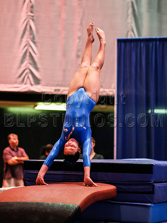 HSM_0232