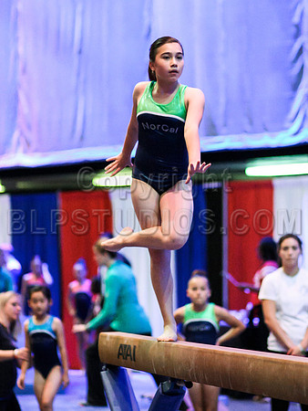 HSM_1700