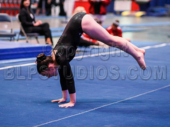 HSM_1195