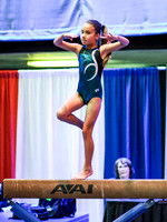 HSM_4409