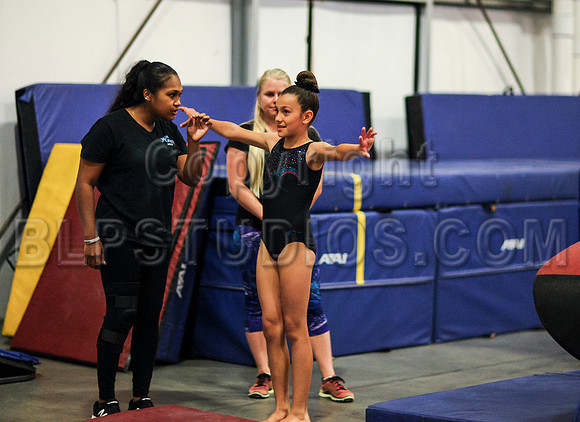 HSM_0203