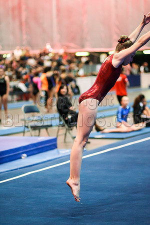 HSM_0728