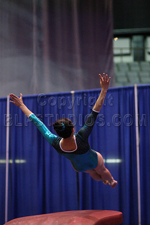 HSM_1323
