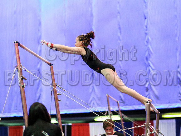 HSM_1213