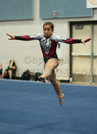 HSM_6488