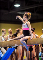 BEC_0063