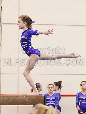 HSM_8494