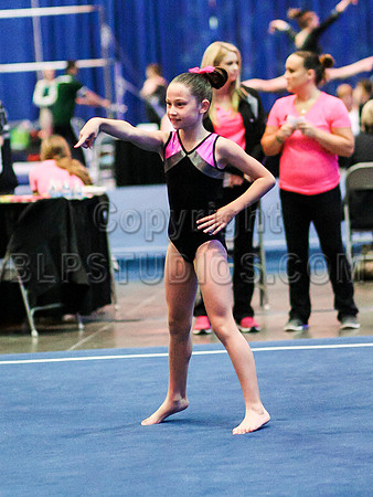HSM_2653
