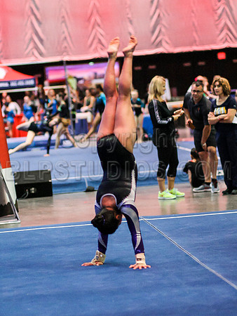 HSM_0943