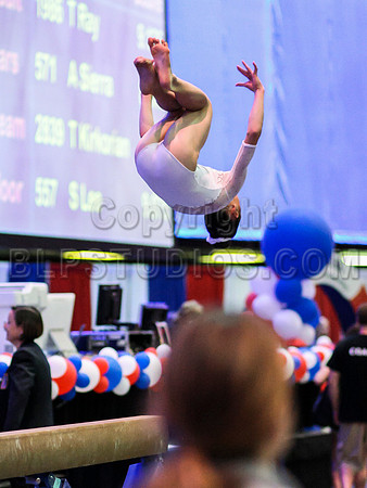 HSM_2893
