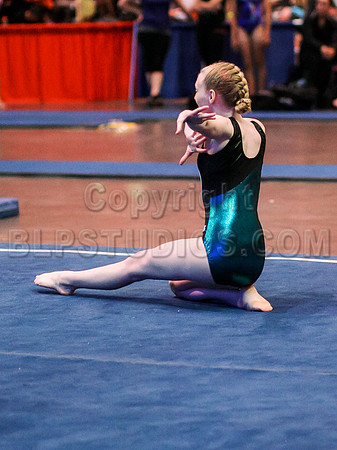 HSM_0991