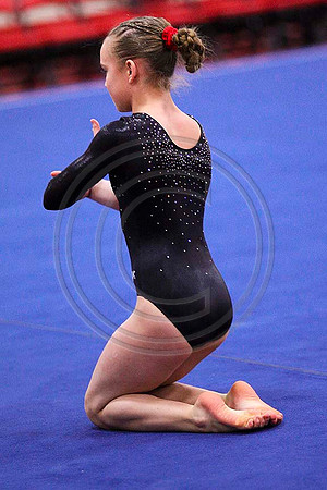 TAZ20087