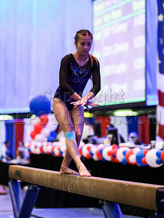 HSM_0246