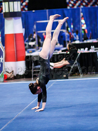 HSM_1201