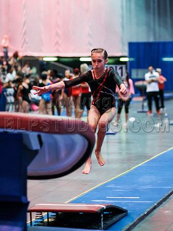 HSM_0287