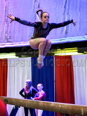 HSM_1431