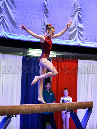 HSM_0394