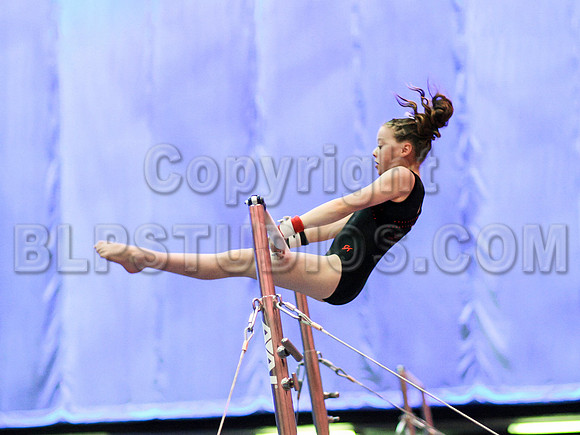 HSM_1297
