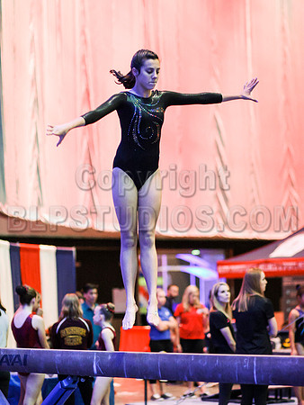 HSM_0040