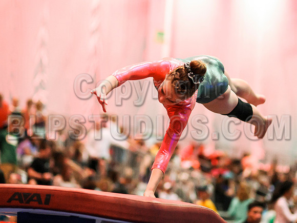 HSM_1312