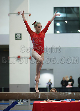 HSM_4596