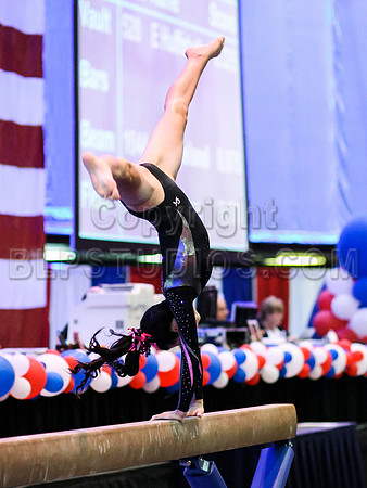 HSM_1195