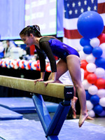 HSM_0208
