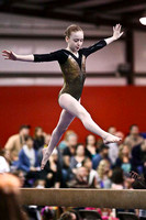 HSM_1496