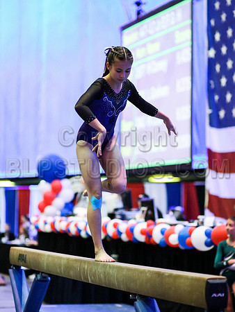 HSM_0242
