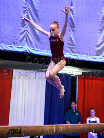 HSM_0406