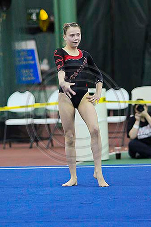 TAZ20088