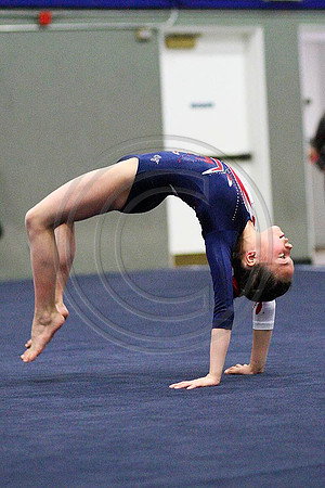 TAZ26355