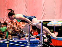 HSM_1271