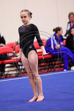 TAZ20157
