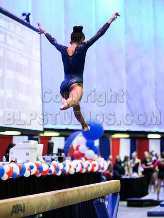 HSM_2484