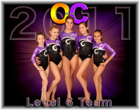 Level 6 Team