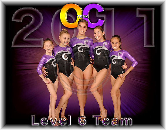 Level 6 Team