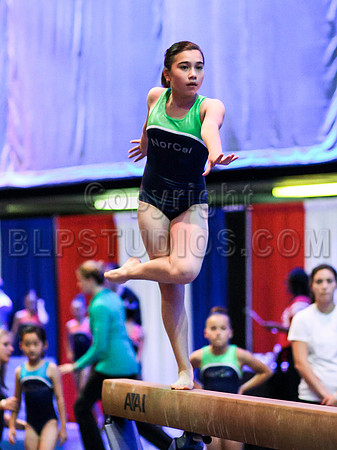 HSM_1701