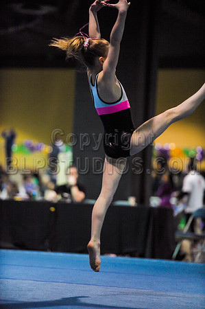 BEC_0201