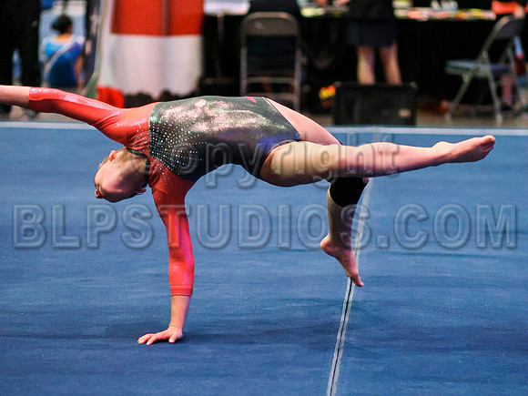 HSM_1080