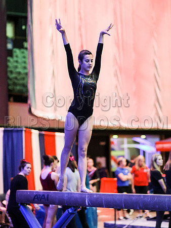 HSM_0034