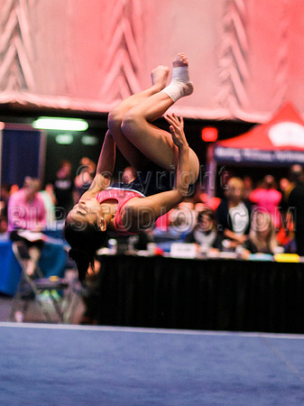 HSM_3199