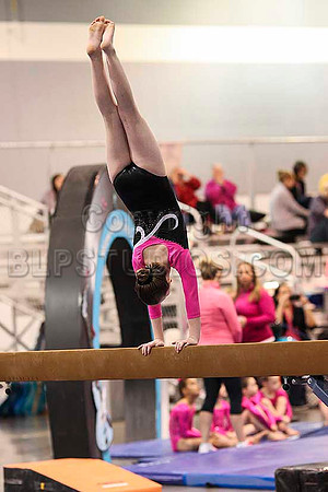 HSM_3296