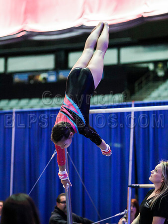 HSM_0350
