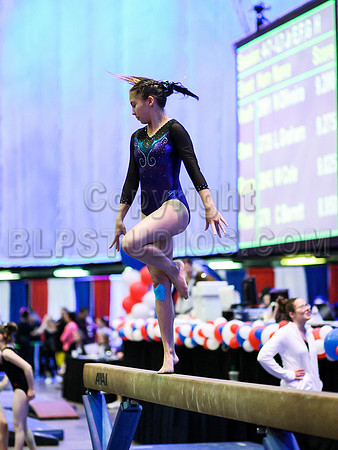HSM_0228